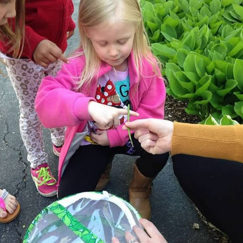 EliteGreatEscapePreschool